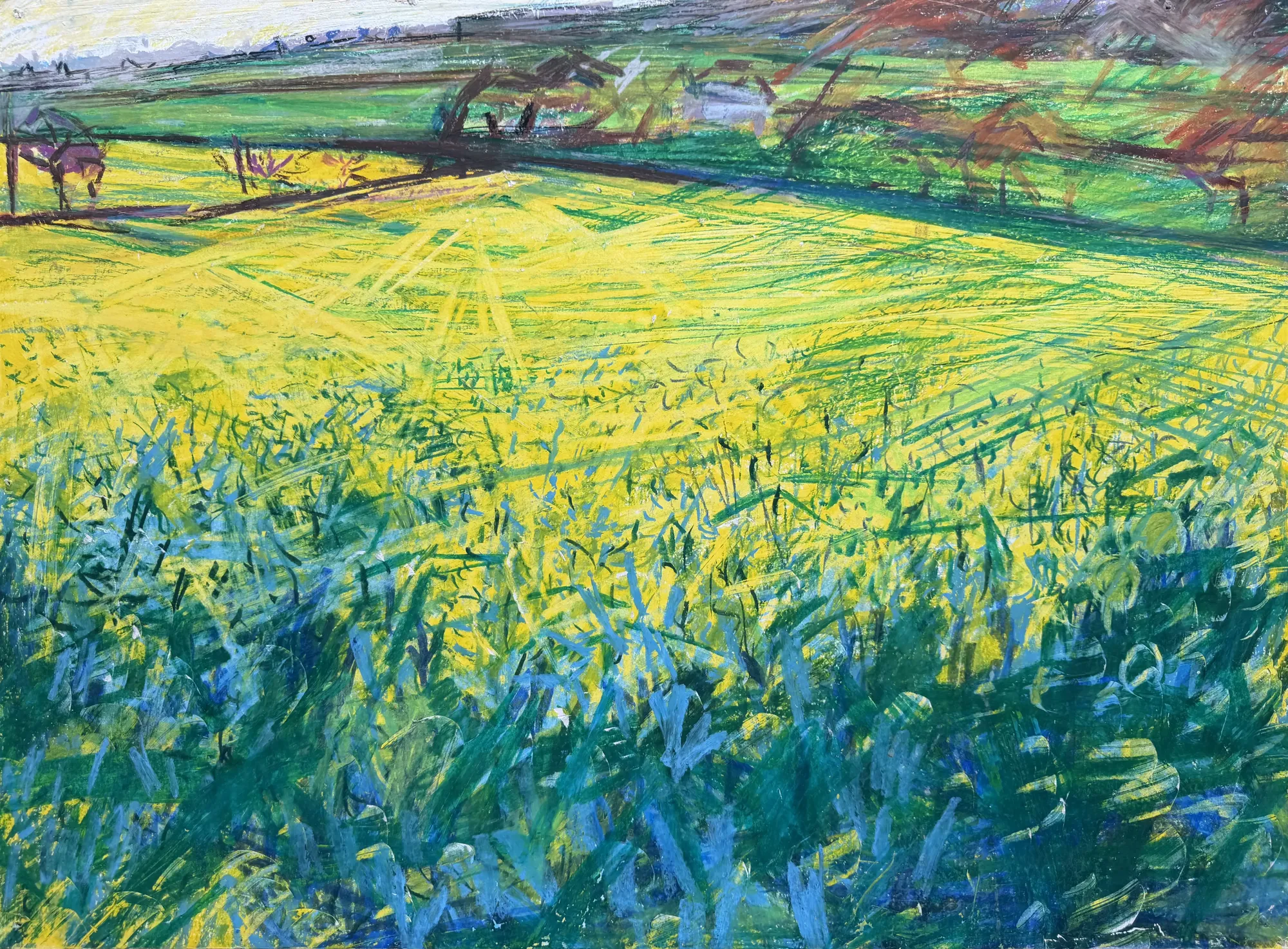 Field of Yellow Rape, Cuenchwell near Truro, 23 May 87